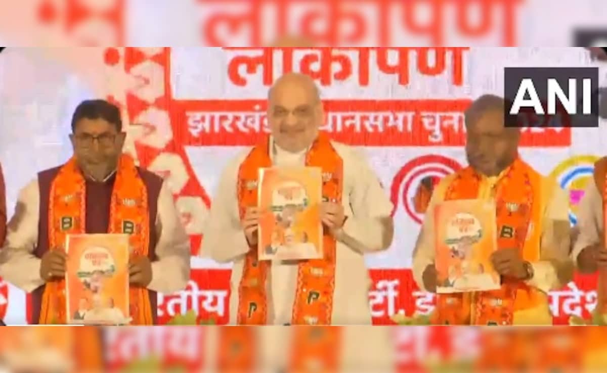 Secure Borders, Tribal Rights: BJP Releases Jharkhand Poll Manifesto