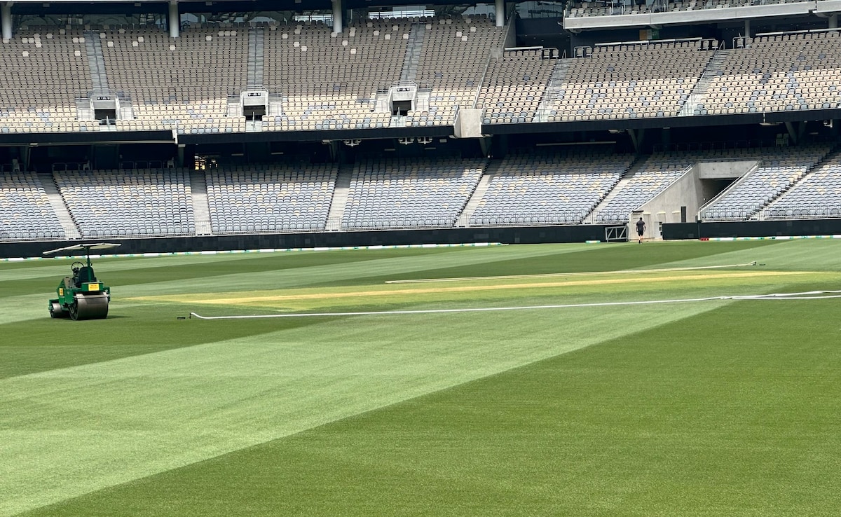 India Get Reality Check With Perth Pitch Warning: "Can Be Terrifying…"