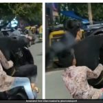 Video: Minor Performs Dangerous Stunt On Road, Bengaluru Police Reacts