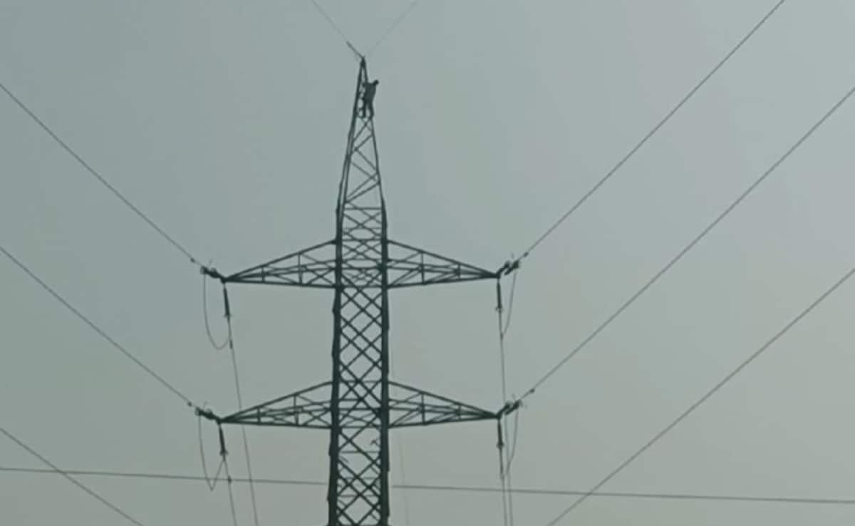 Video: Man Climbs Electric Tower In Noida, Dances On Top Of It