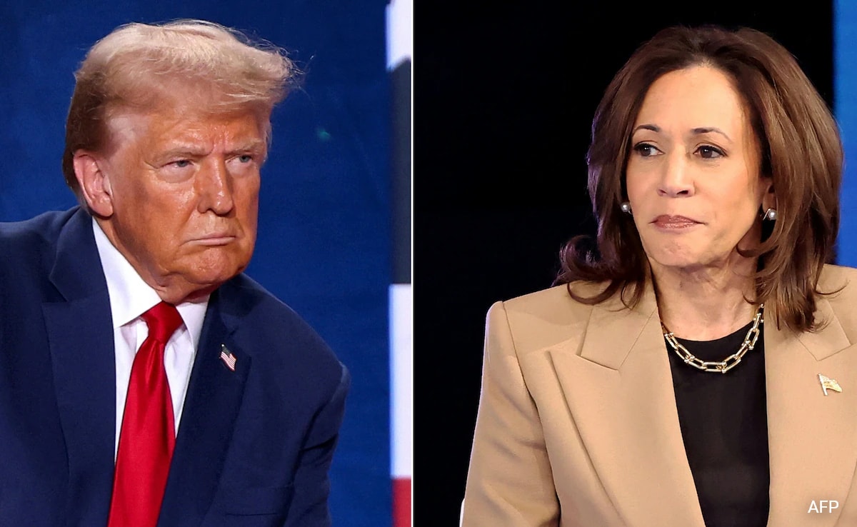 On Night Before Election Day, Kamala Harris Brings In Celebrities. Donald Trump Is Unimpressed