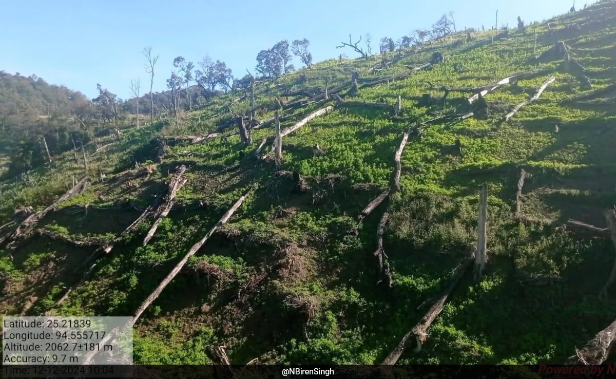 Union Minister's Response To 4 Questions In Parliament On Manipur Poppy Cultivation