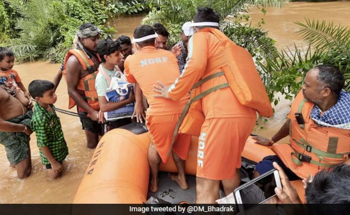 Snakebites, Disasters Claimed 10,300 Lives in Odisha In 3 Years: Minister