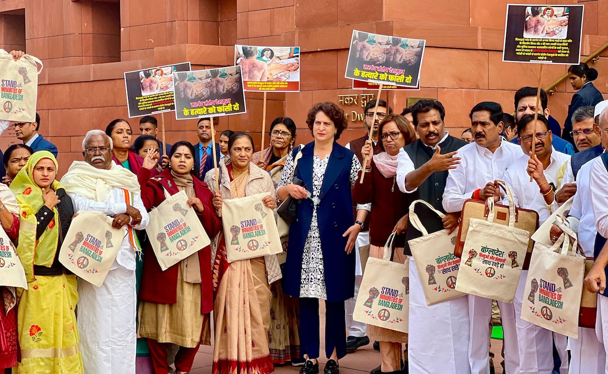 Priyanka Gandhi's 'Bangladesh' Bag In Parliament, Day After 'Palestine' Row