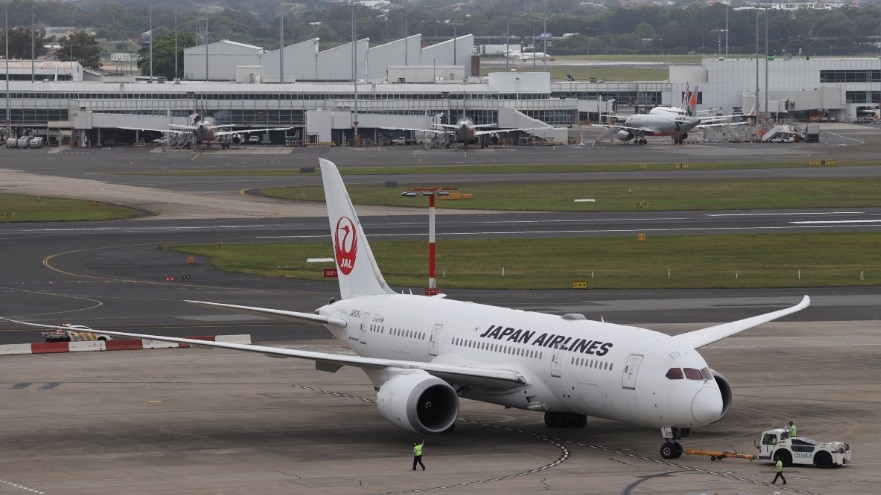 Japan Airlines hit by cyberattack, flights delayed, ticket sales halted