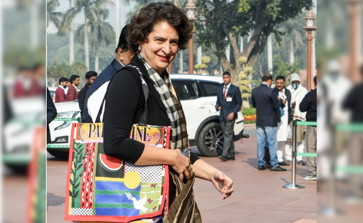 "Who's Going To Decide What I Wear?": Priyanka Gandhi On 'Palestine' Bag Row