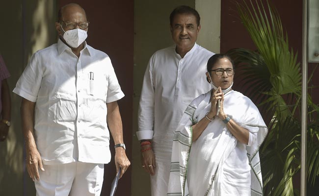 "She's Capable": Sharad Pawar Backs Mamata Banerjee As INDIA Bloc Leader