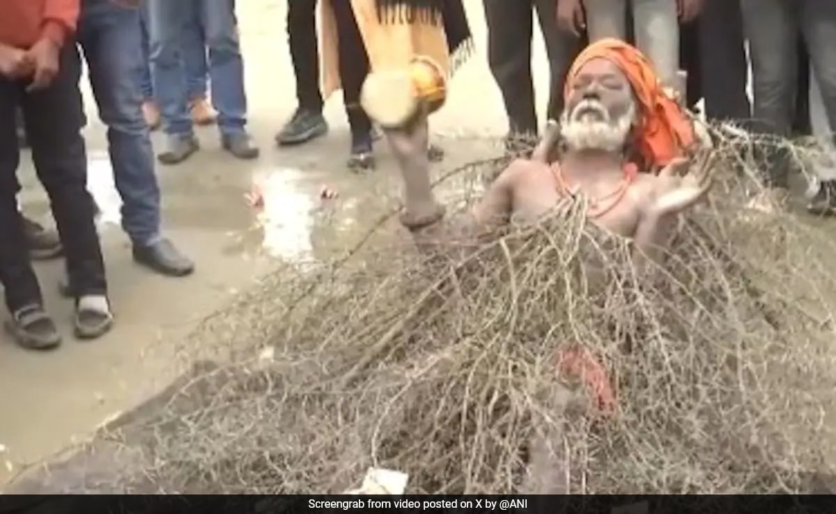 'Kaante Wale Baba' Amazes Devotees At Maha Kumbh In Prayagraj