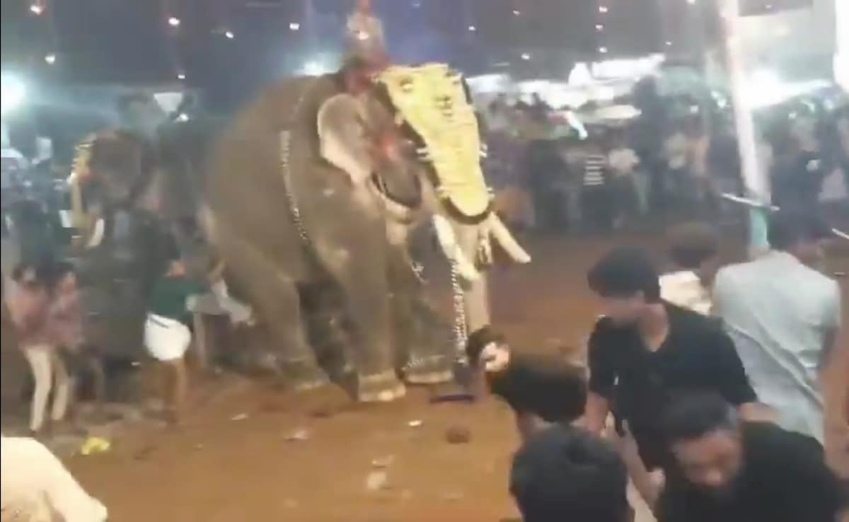 Video: Elephant Gets Agitated At Kerala Temple Festival, 17 Injured