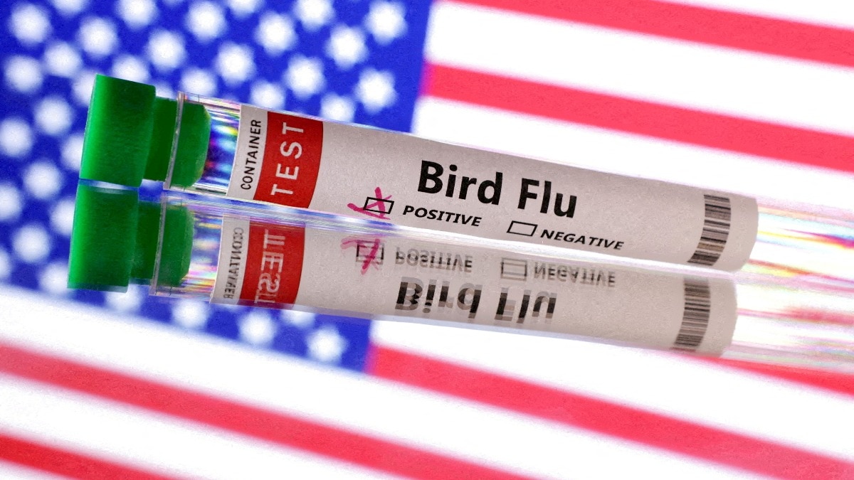 US reports first bird flu-related death after 65-year-old succumbs in Louisiana