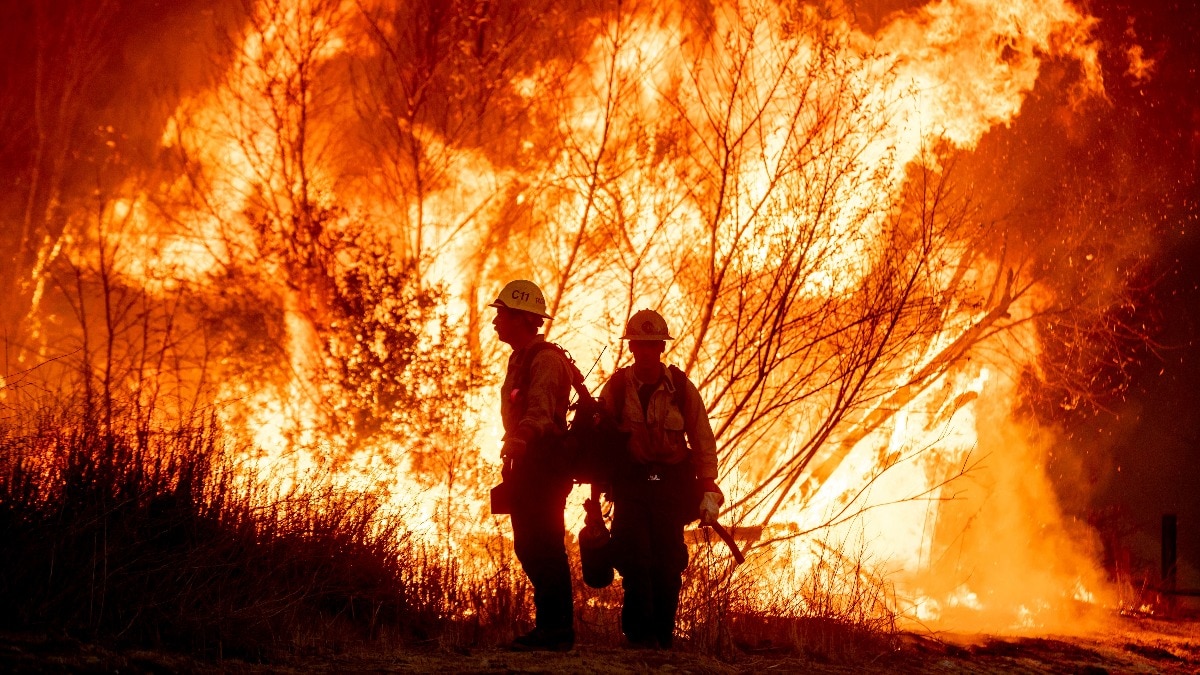 Los Angeles wildfire: Man dressed as firefighter caught looting homes in Los Angeles amid deadly fires