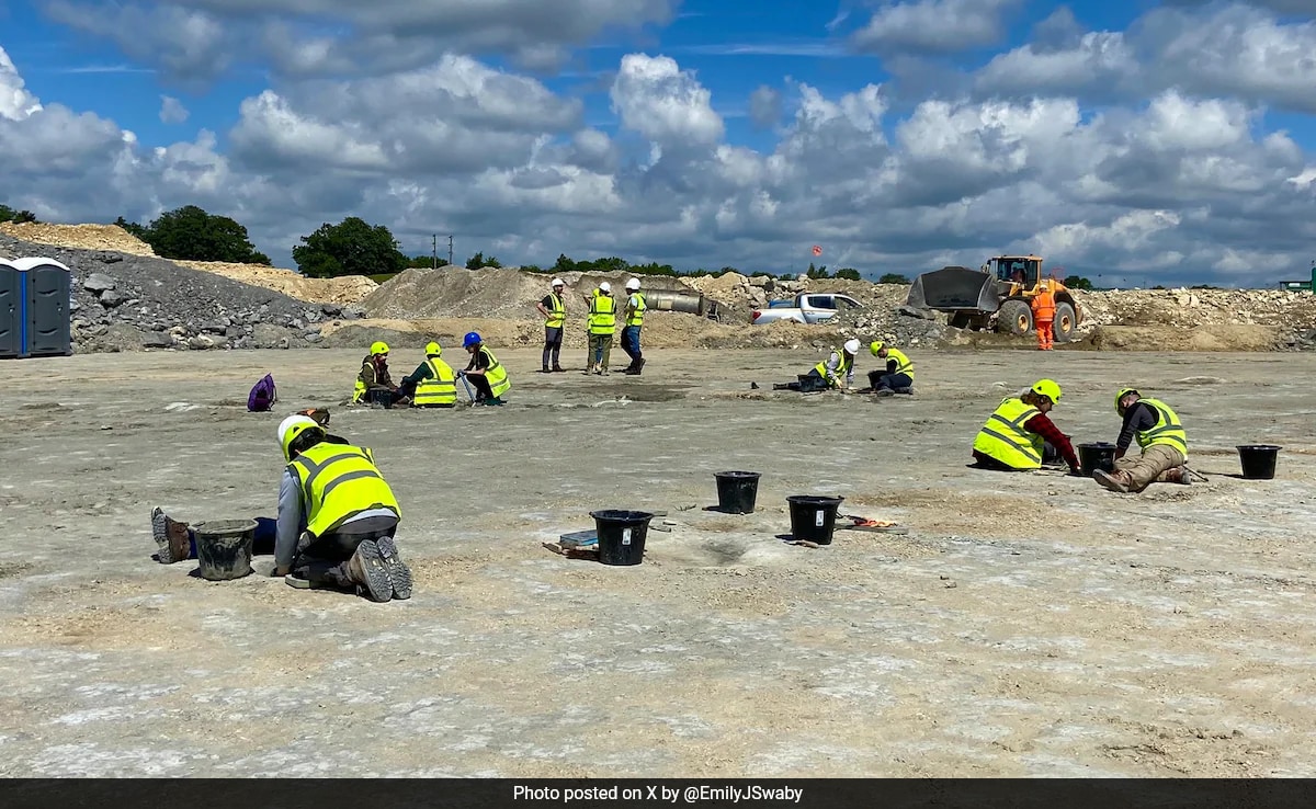 UK’s Biggest Dinosaur Footprint Site Unearthed Dating Back 166 Million Years