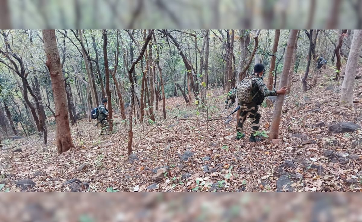 3 Maoists Killed In Encounter With Security Forces In Chhattisgarh