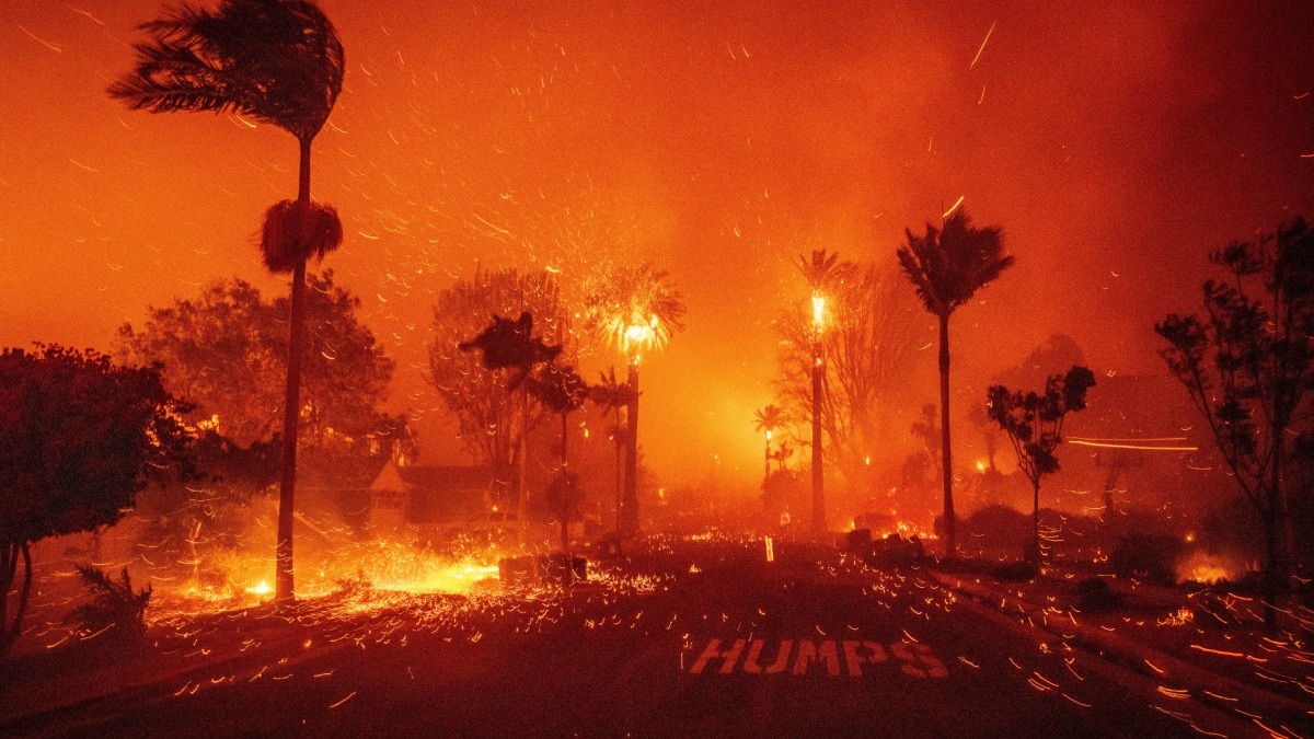 Los Angeles wildfire: Frantic scenes as thousands abandon cars, flee on foot